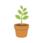 Gardening
